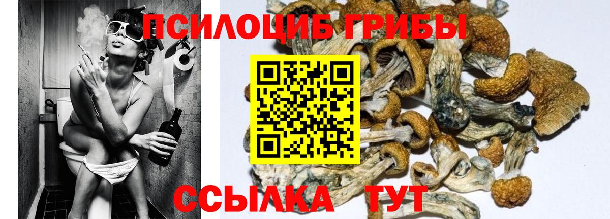 Волжск  Галлюциногенные грибы MAGIC MUSHROOMS  Вход с VPN 